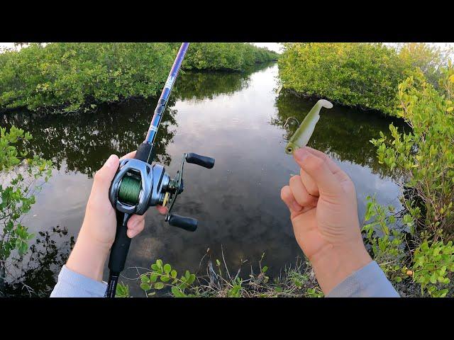 Snook & Tarpon Fishing In HIDDEN Mangrove Canals