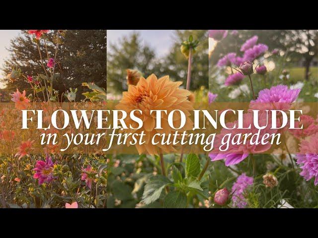 Best Cut Flowers to Grow When You’re Just Starting Out: Cut Flowers for First Year Flower Farming