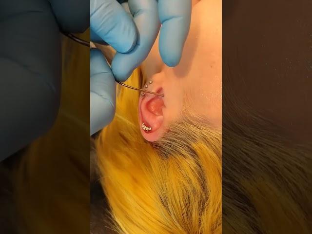 #TragusPiercing by Jabba @get-piercedltd Carlisle, Cumbria  #earpiercing #piercing