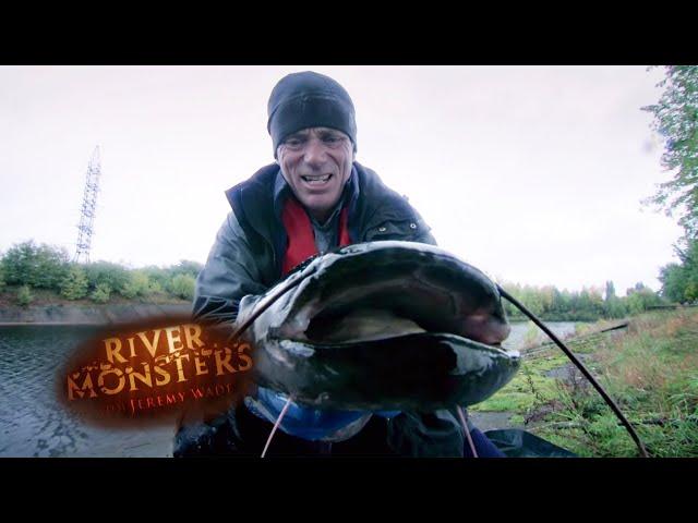 Catching A Mutant Som In Radioactive Chernobyl Waters | SOM | River Monsters