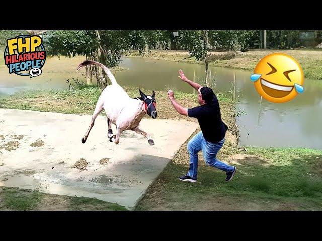 Hilarious People Life  #51 | Instant Regret Fails Compilation 2024 - Try Not To Laugh