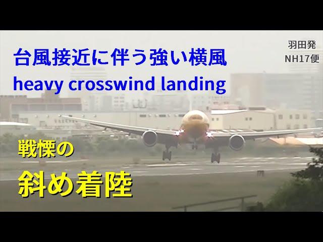 【戦慄】台風横風斜め着陸&ゴーアラウンド@伊丹 crosswind landing go-around