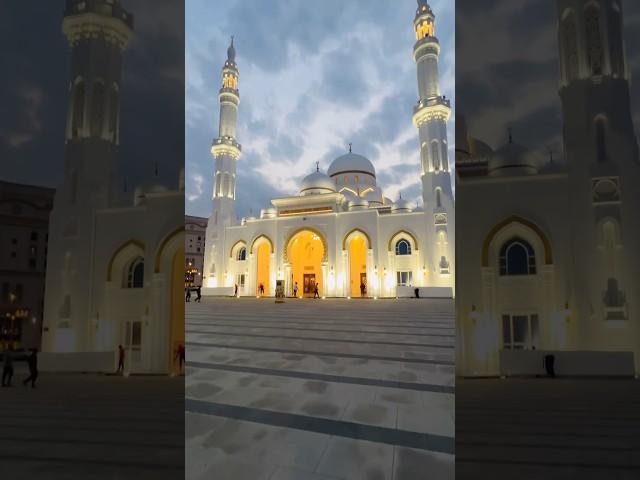 Quran Kareem #beautiful #quranrecitataion #foryou #quran #youtubeshorts ￼