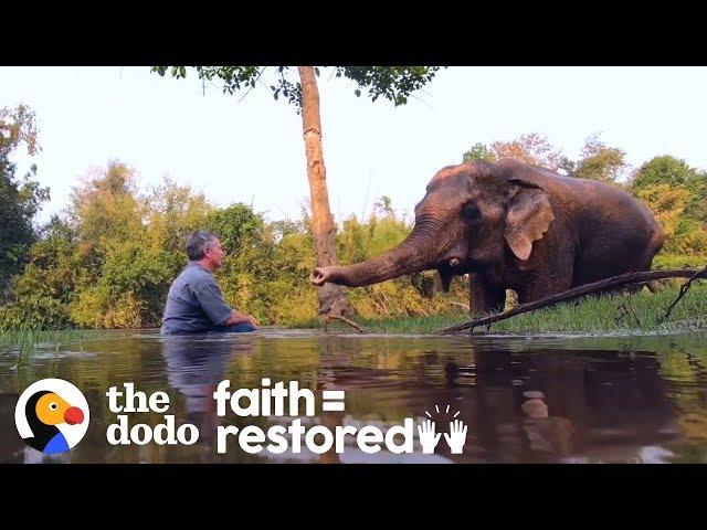 Rescued Elephant Has The Sweetest Reaction To Music | The Dodo Faith = Restored