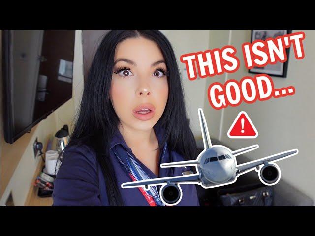 Flight Attendant Life - MAJOR GLOBAL TECH ISSUE GROUNDS PLANES & CANCELS FLIGHTS ️