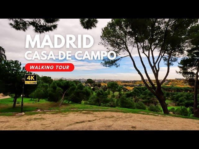 Madrid's Largest Urban Park With Stunning Panoramic View | Casa De Campo | 4K Autumn Walk