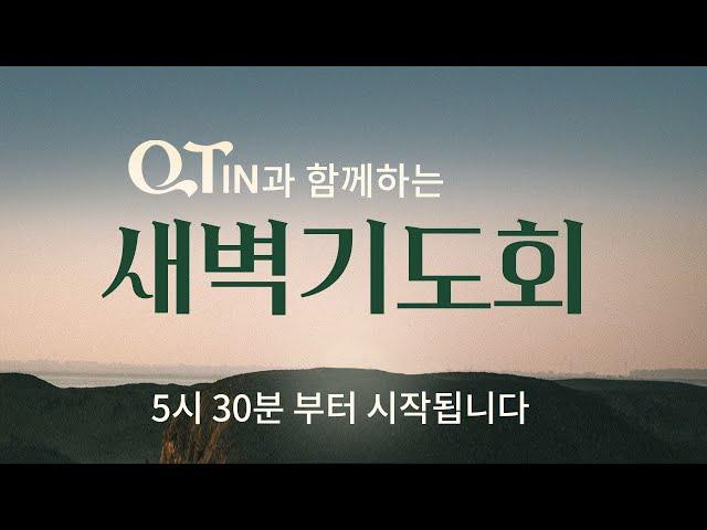 2024-12-25 (수) | 큐티인 | 마태복음 2:1-12 | 매우 크게 기뻐하더라 | 김성권 목사 | 우리들교회 새벽기도회