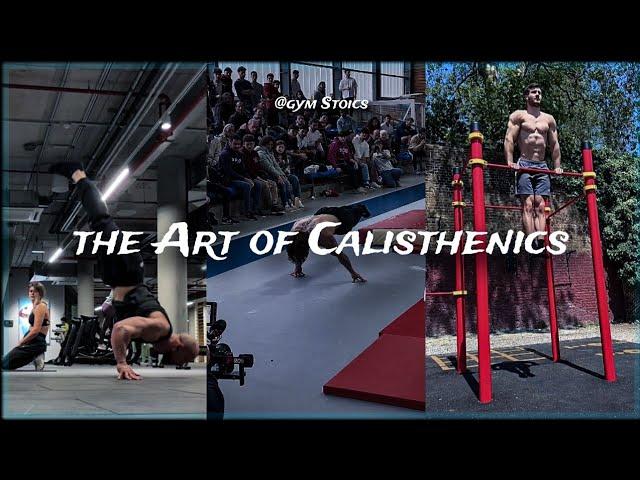 The Art Of Calisthenics X Gym Stoics