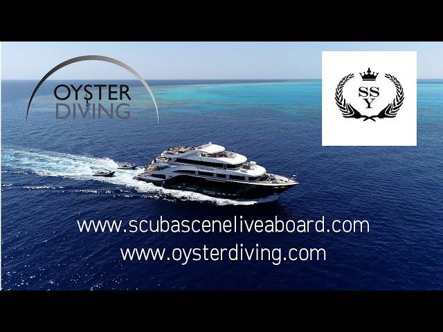 Scubaverse Trip Report: Red Sea Liveaboard Diving with Scuba Scene