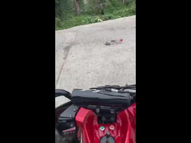Coolster 125cc in action