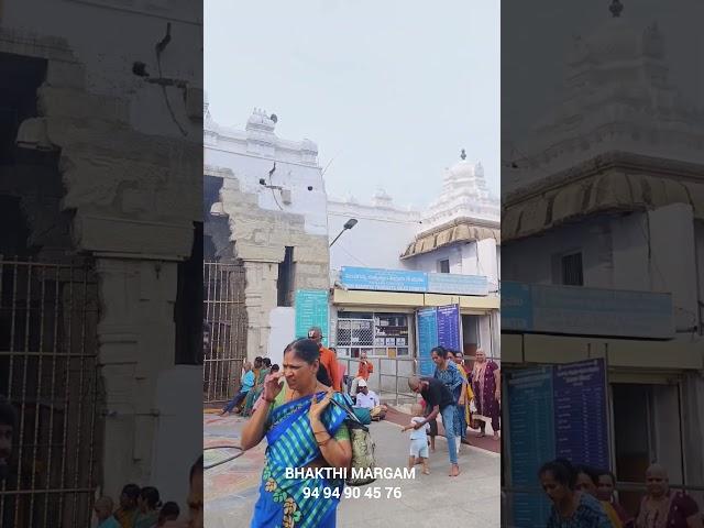 tirupati govindaraja swamy temple | Bhakthi Margam Telugu | #tirupati #hindutemple #travel #ytshorts