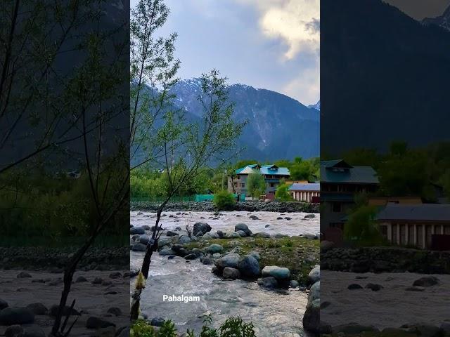 Lidder River Pahalgam Kashmir #shortsfeed #shorts #shortstrending #viral @DigantasTravelDiary