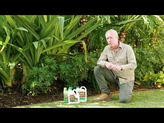 Love your lawn with Seasol for Lush Green Lawns - Nigel Ruck The Garden Gurus