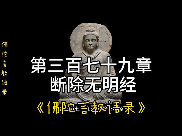 379.第三百七十九章 断除无明经《佛陀言教语录》