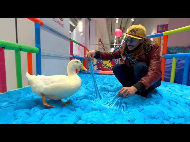 I took my duck to Slime