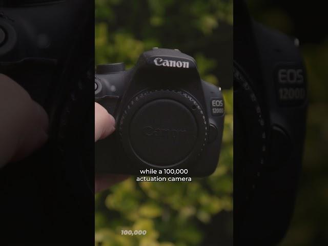 How Long Do They Last? Canon 7D Mark II vs Canon Rebel T5