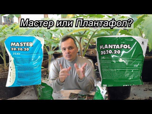 Плантофол или Мастер - что лучше? Когда какое удобрение применять.