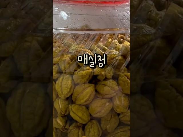 지금 놓치면 1년을 기다려야 합니다! 10년째 실패없이 담그는 매실청 비법 매실액기스 #shorts