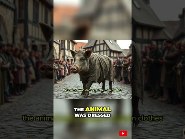 The Shocking Trial of a Murderous Sow in Medieval France