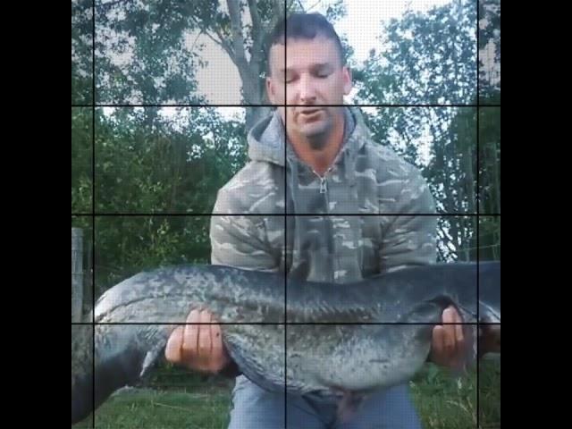 The Lymm Angler Dangler Channel Trailer = Subscribe #shorts
