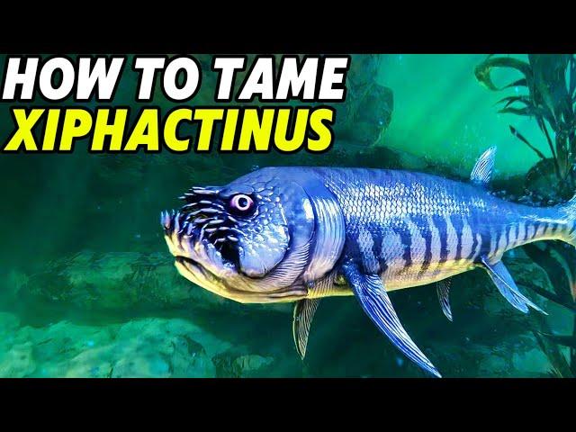 How To Tame Xiphactinus & Abilities, The Oceans New Terrifying Creature, Ark Survival Ascended