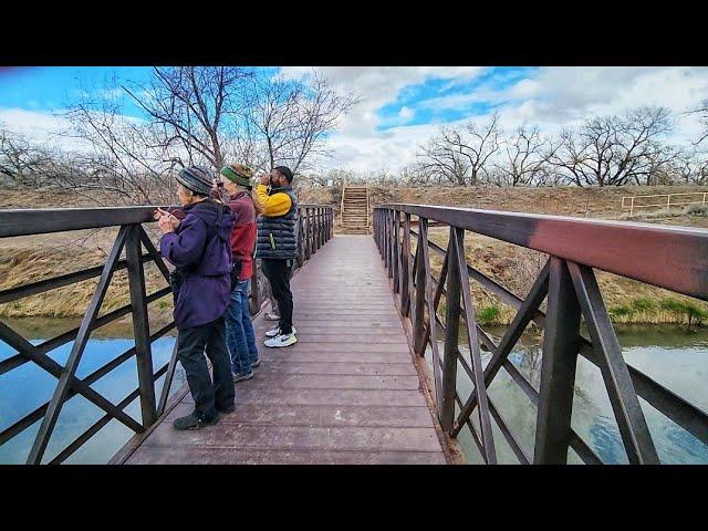 Largest Cottonwood Forest in the World through Albuquerque | Rio Grande Nature Center & Bosque Hike