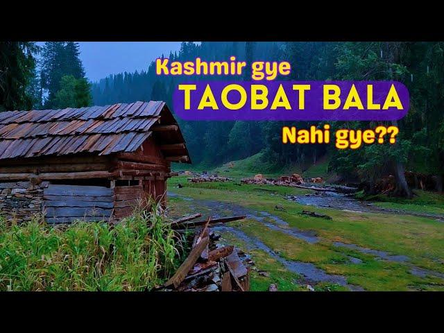 This is the most beautiful valley of kashmir: Taobat to Taobat Bala | Ep 05 (Eng subtitles)