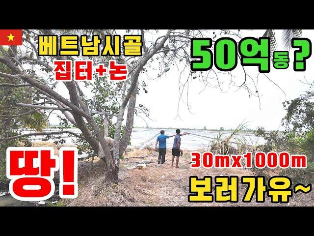 [베트남부동산] 베트남 끼엔장시골 땅보러갑니다/시골땅값이 후덜덜 하네요! (kiengiangtv)