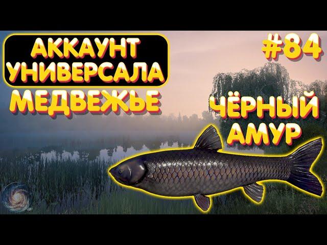 Аккаунт универсала #84 | Медвежье - Амур чёрный | Русская Рыбалка 4