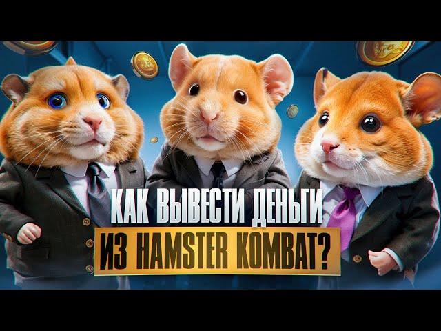 Как вывести деньги из Hamster Kombat?! Какая будет цена?!