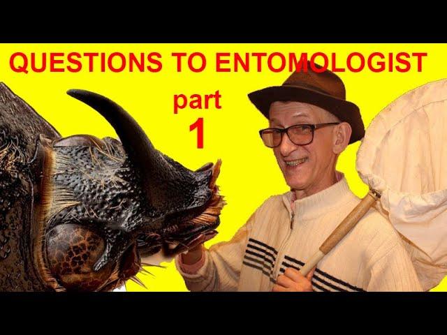 Questions to Entomologist: Best Insects, Passion, Careers, Parasitoids, Collections. PART-1.