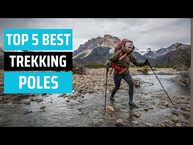 Best Trekking Poles 2024 - [don’t buy one before watching this]