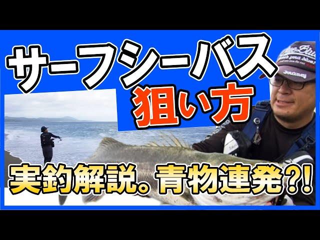 サーフシーバス！基本的な狙い方！実釣解説　村岡昌憲【切り抜き】