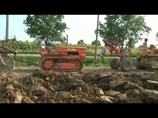 Seconda manifestazione di aratura con trattori d'epoca Azienda Agricola Demo