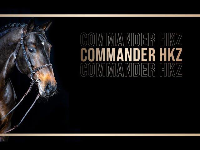 Commander HK Z 2nd Round Stallion Competition Febr 2023