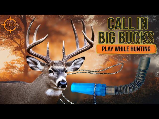 Sound Only: Non Aggressive 2-3 yr Buck Contact Grunt (Play With Speaker While Hunting)