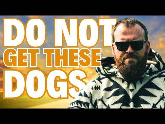 DO NOT Get These Dog Breeds!