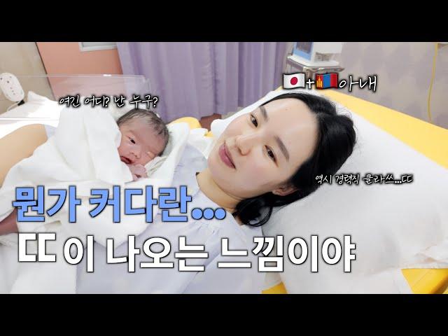 뭐 먹고 싶어? "돈까스 샌드위치" (feat.3회차 경력직 바이브...)