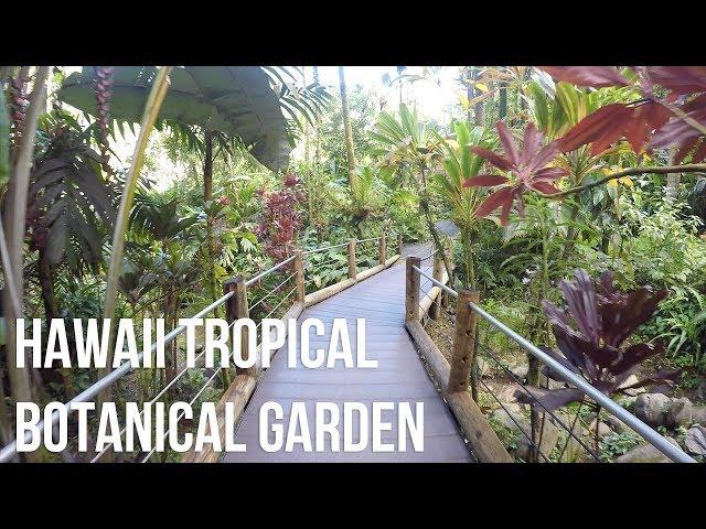 Hawaii Tropical Botanical Garden - Virtual Tour