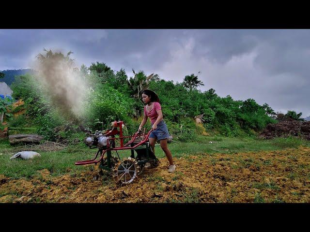 Complete Mini Plow Machine of a Rural Girl | Tractor Plow Vietnamese style