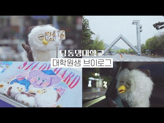 대학원생 브이로그 | 딩동댕대학교 | 조교 업무 | 서울대 투어 | 1학기 종강