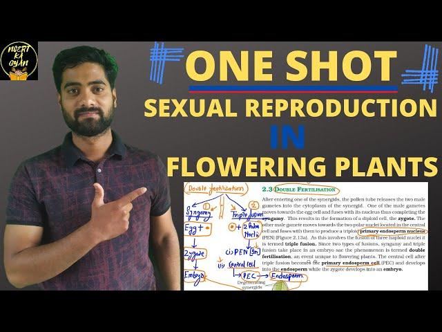 Sexual Reproduction in Flowering Plants in One shot||CBSE Class 12 biology||NCERT Biology.