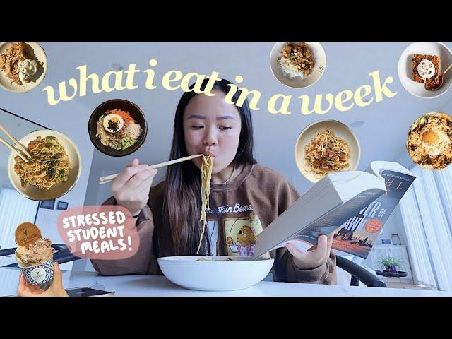 uni diaries: full week of eats, navigating my 20s, social anxiety, comparison & doing hard things