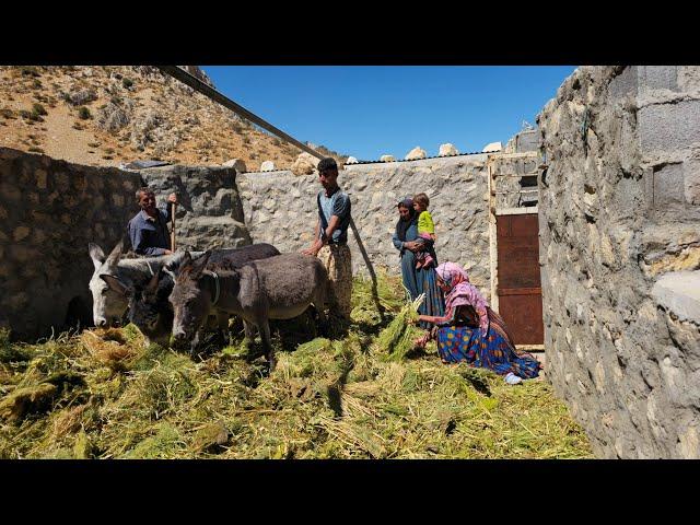 Mountain challenge: Nader and his family evacuate their mountain nomadic caper - nomadic lifestyle