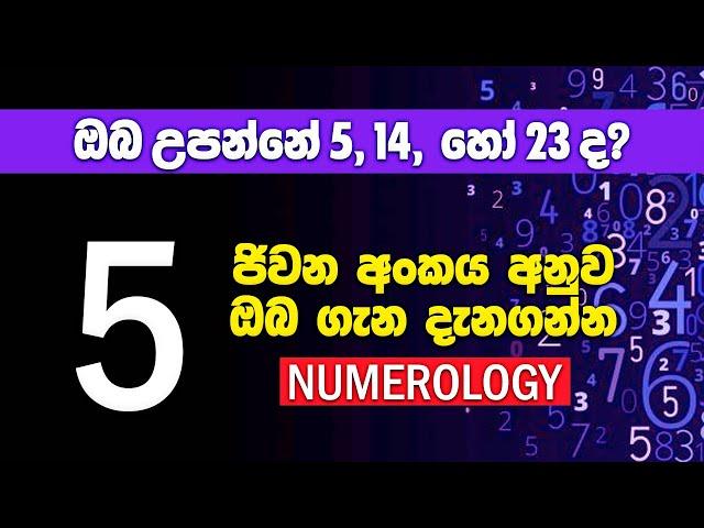 ඔබ උපන්නේ 5, 14 හෝ 23 වැනිදාද? | ජිවන අංකය අනුව ඔබ ගැන | Birthday Numerology Number 5