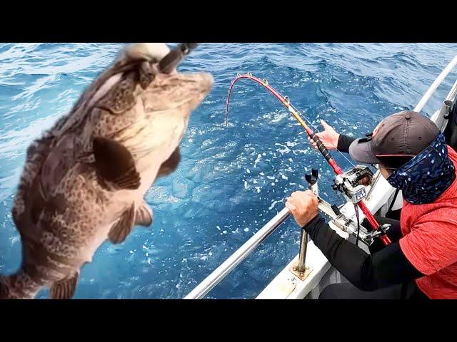 海釣野生石斑魚！活餌章魚釣大物-穩勝166娛樂海釣船