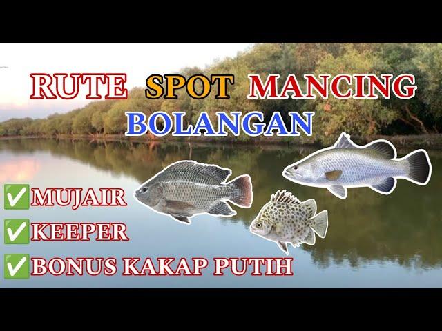 RUTE SPOT MANCING BOLANGAN HARIAN MUJAIR, KEPER, BONUS KAKAP PUTIH