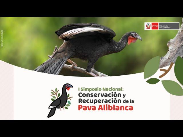 Chiclayo | Primer Simposio Nacional de conservación y recuperación de la Pava Aliblanca en el Perú