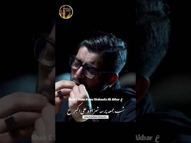 Shab_E_Jumma_Noha_Ali_Akbar_ع_Mir_Hasan_Mir#ytshorts #youtubeshorts #shortvideo #mirhasanmir #noha