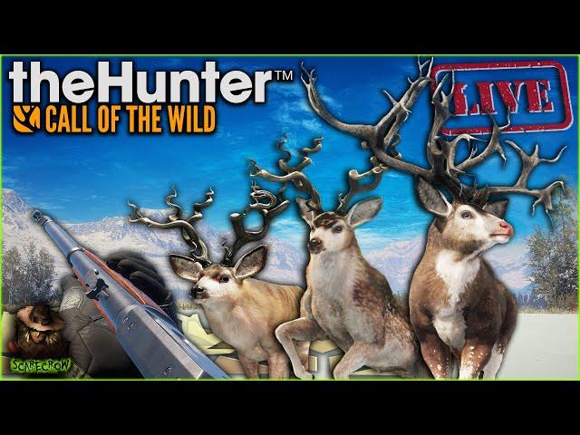The 2nd Great One Mule Deer Grind BEGINS! Fully Herd Managed Askiy Ridge Grind! Call of the wild